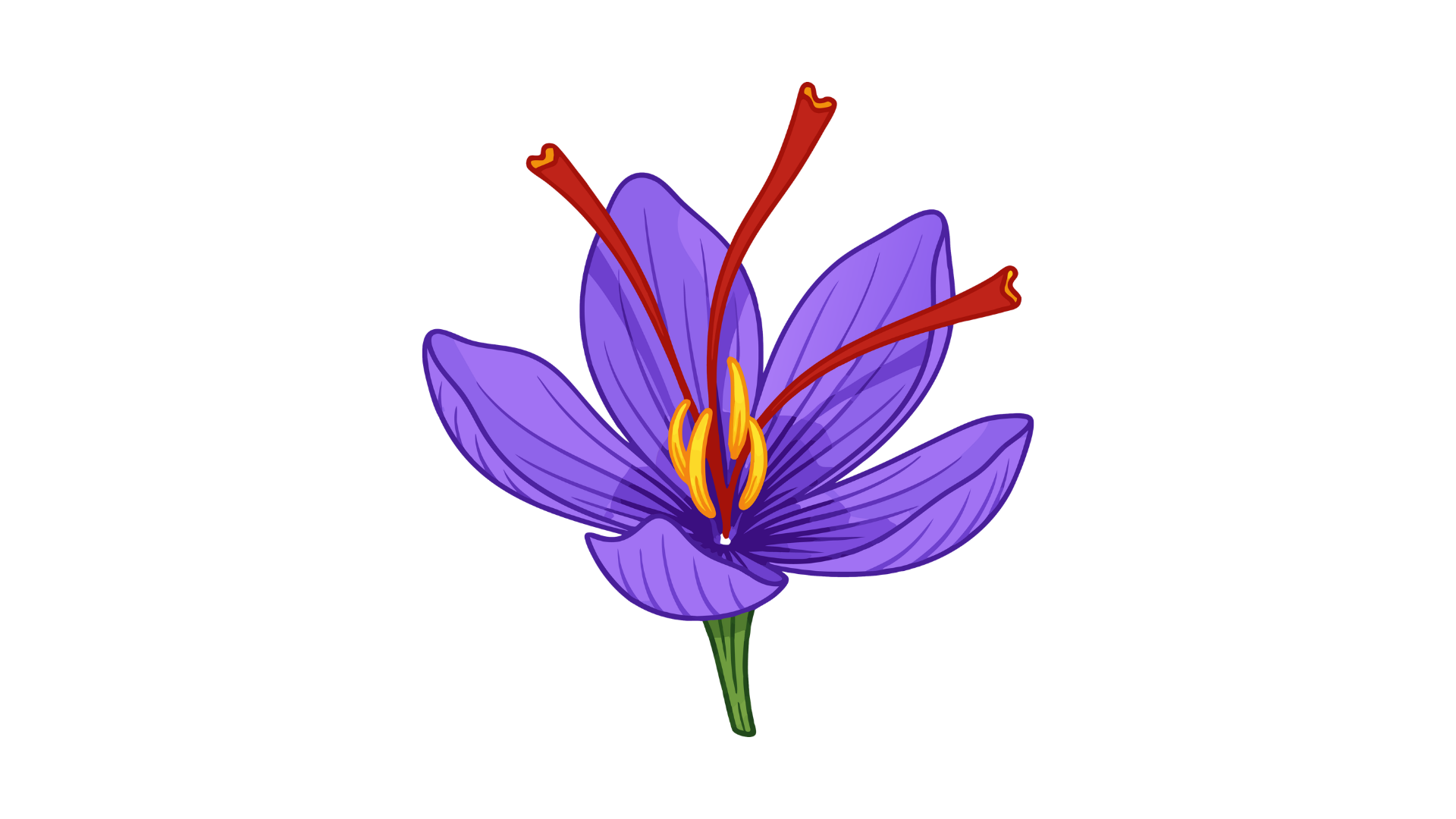 Safran çiçek